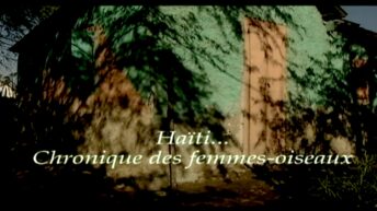 Haiti... Chronique des femmes-oiseaux